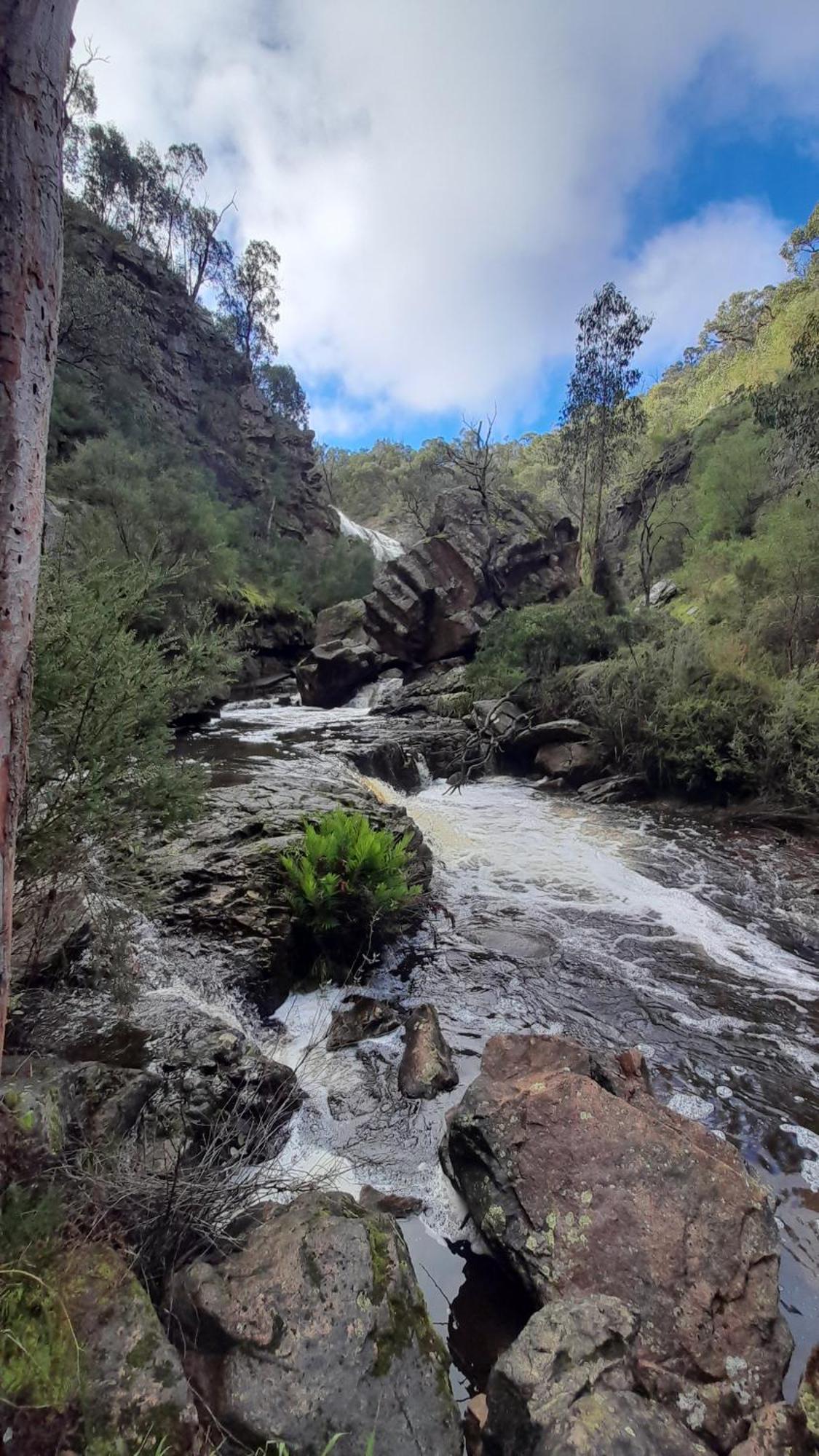 Halls Gap Motel Εξωτερικό φωτογραφία