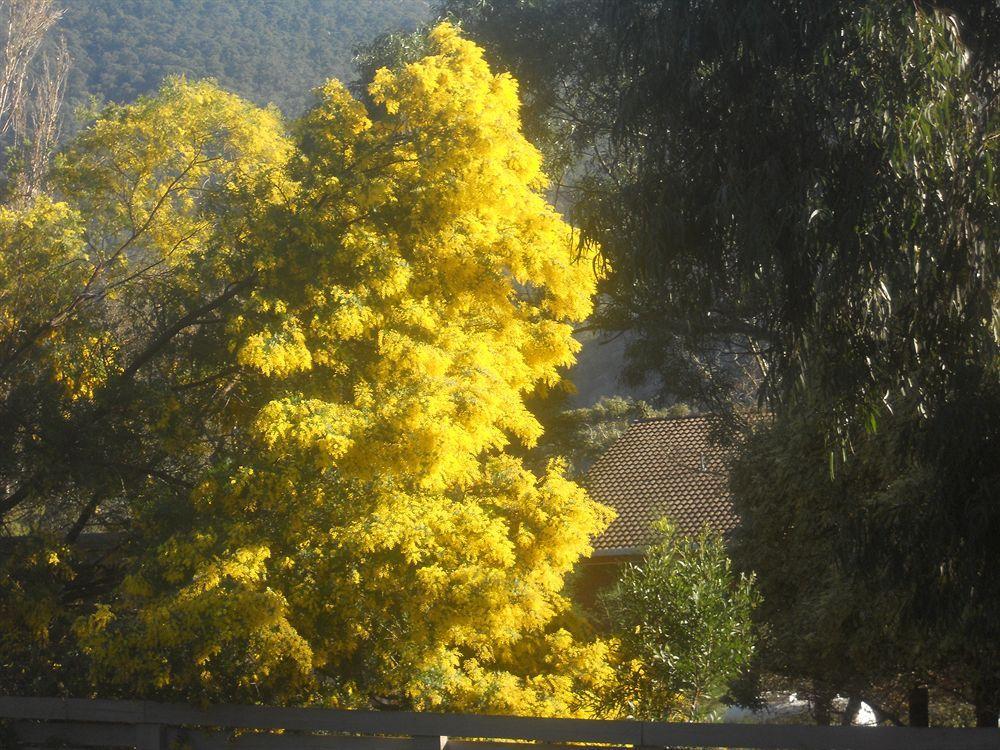 Halls Gap Motel Εξωτερικό φωτογραφία