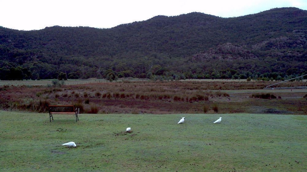 Halls Gap Motel Εξωτερικό φωτογραφία